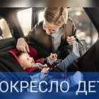 В Пензе и области подвели итоги рейда Автокресло детям: десятки штрафов за один день