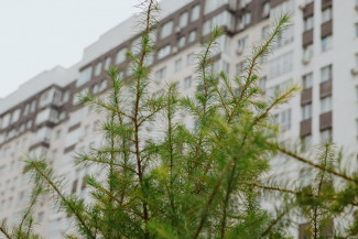 Пензенцев ждут новые льготы? Налоговый вычет за жилье могут пересмотреть впервые за 10 лет