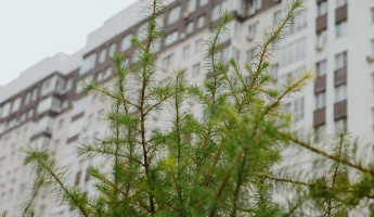 Пензенцев ждут новые льготы? Налоговый вычет за жилье могут пересмотреть впервые за 10 лет