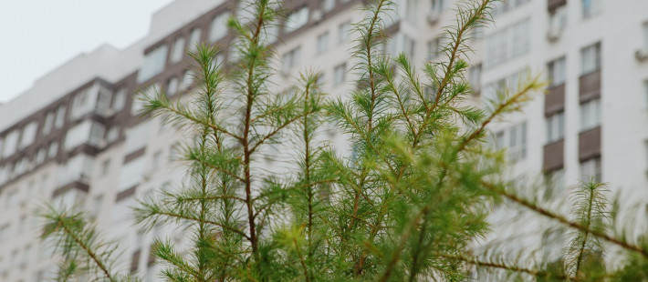 Пензенцев ждут новые льготы? Налоговый вычет за жилье могут пересмотреть впервые за 10 лет