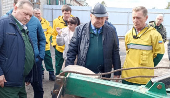 К лесным пожарам не готовы: проверяющие из Деплесхоза ПФО раскрыли тайны пензенского министра Алтынбаева