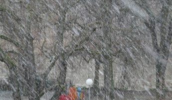 Пензенцев предупреждают о снеге и сильном ветре 10 декабря Пензенцев предупреждают о снеге и сильном ветре 10 декабря