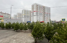 В Пензе открылись елочные базары: где купить деревья со скидкой В Пензе открылись елочные базары: где купить деревья со скидкой