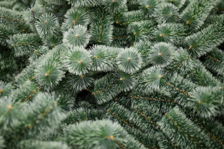 Пензенцам объяснили, почему в Терновке убрали елку с площади у ДК