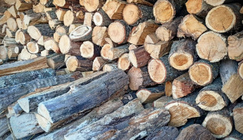 В Пензенской области приняли решение, которое облегчит зиму для семей участников СВО В Пензенской области приняли решение, которое облегчит зиму для семей участников СВО