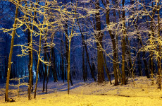 Какая погода ожидает жителей Пензенской области 12 декабря? Какая погода ожидает жителей Пензенской области 12 декабря?