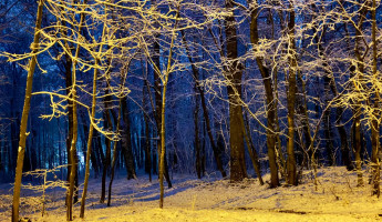 Какая погода ожидает жителей Пензенской области 12 декабря? Какая погода ожидает жителей Пензенской области 12 декабря?