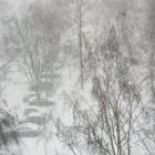 В Пензенской области после бури обесточены 45 населенных пункта: какие меры принимают власти