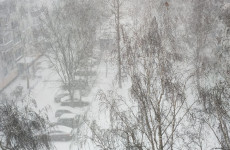 В Пензенской области после бури обесточены 45 населенных пункта: какие меры принимают власти В Пензенской области после бури обесточены 45 населенных пункта: какие меры принимают власти