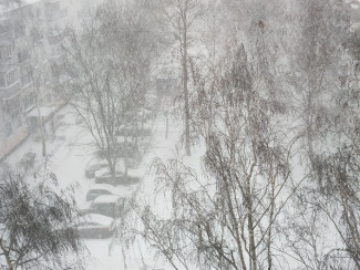 В Пензенской области после бури обесточены 45 населенных пункта: какие меры принимают власти