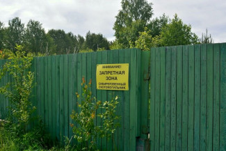 Скрытая угроза под землей: как в Пензенской области контролируют сибирскую язву