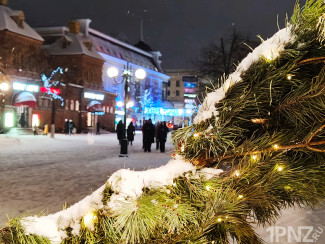 Стало известно, какая погода ожидает пензенцев 31 декабря