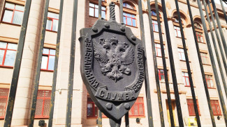 Интернет под контролем: публикации в Сети довели пензенца до уголовного дела