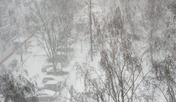 Жителей Пензенской области предупредили о погодной опасности в ночь на 5 января