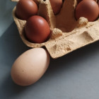 В Пензенской области резко снизились цены на эти категории популярных продуктов