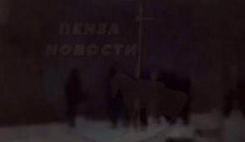 В Пензенской области под колесами поезда погибла женщина