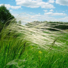 В Пензенской области увеличили площадь охраняемых природных территорий