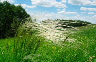 В Пензенской области увеличили площадь охраняемых природных территорий