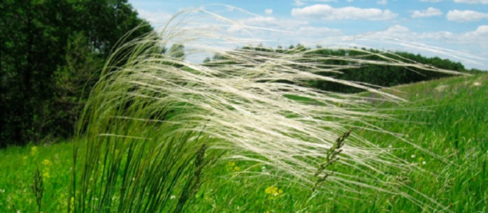 В Пензенской области увеличили площадь охраняемых природных территорий