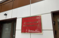 Судебное заседание по делу Фейгиной: зачитано обвинительное заключение