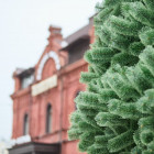 Новогодняя сказка завершена: стало известно, когда в Пензе уберут главную елку