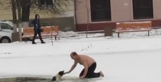Неизвестный мужчина ринулся спасать тонущую в пруду собаку