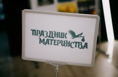 Кузнецк показал тревожную динамику по рождаемости в Пензенской области