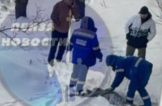Смерть при падении с высоты: появились подробности трагедии на улице Карпинского в Пензе