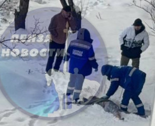 Смерть при падении с высоты: появились подробности трагедии на улице Карпинского в Пензе