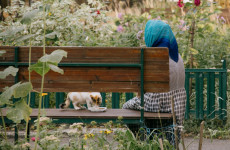 В Пензенской области провели индексацию страховых пенсий