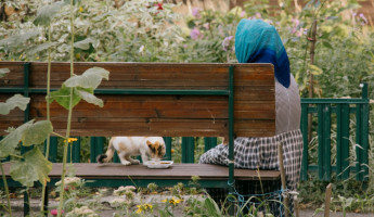 В Пензенской области провели индексацию страховых пенсий