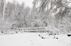 В субботу в Пензенской области похолодает до -27 градусов