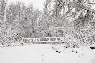 В субботу в Пензенской области похолодает до -27 градусов