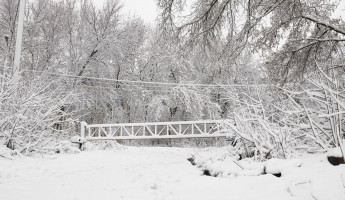В субботу в Пензенской области похолодает до -27 градусов