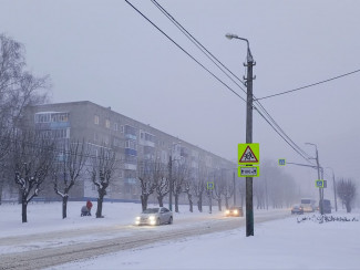 В Пензенской области водитель иномарки сбил 9-летнего мальчика