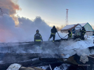 В Пензенской области загорелся сруб – погибли два человека