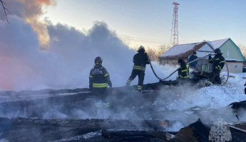 В Пензенской области загорелся сруб – погибли два человека