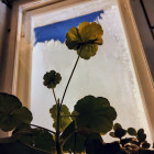 Мороз до -32 градусов: пензенцев предупреждают о сильном похолодании 18 января