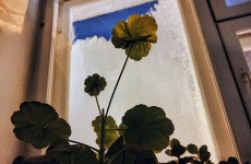 Мороз до -32 градусов: пензенцев предупреждают о сильном похолодании 18 января