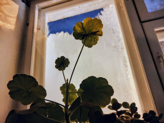 Мороз до -32 градусов: пензенцев предупреждают о сильном похолодании 18 января