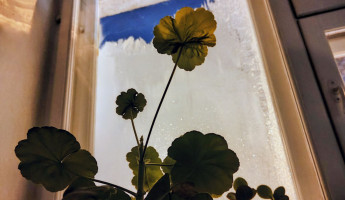 Мороз до -32 градусов: пензенцев предупреждают о сильном похолодании 18 января