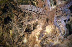 Демонтаж елки на Соборной площади в Пензе оценили в сотни тысяч рублей