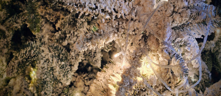 Демонтаж елки на Соборной площади в Пензе оценили в сотни тысяч рублей