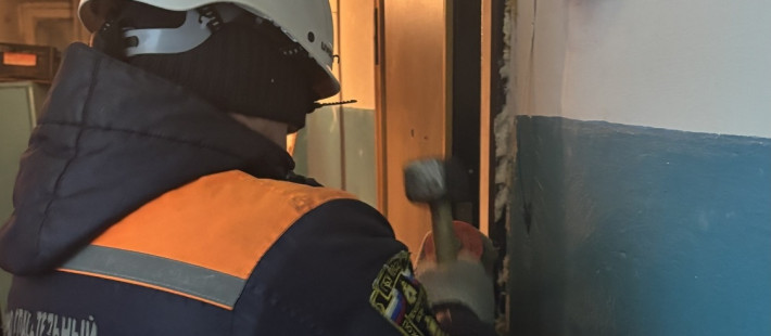 Пензенские спасатели помогли полицейским попасть в  квартиру на улице Кулибина