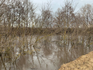 Весна близко: Пензенскую область заранее готовят к половодью