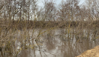 Весна близко: Пензенскую область заранее готовят к половодью Весна близко: Пензенскую область заранее готовят к половодью