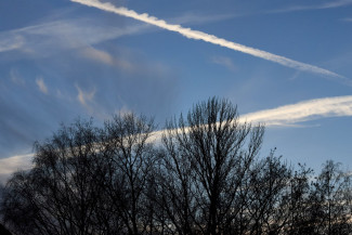 Над Пензенской областью закрыли небо: объявлен план Ковер