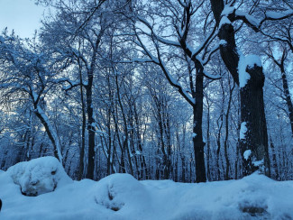 Холода не отступят: пензенцам дали прогноз погоды на 27 января