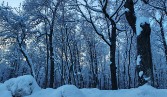 Холода не отступят: пензенцам дали прогноз погоды на 27 января