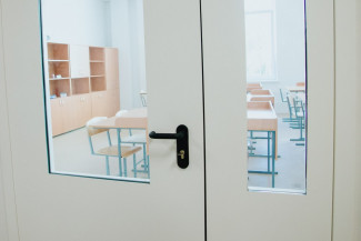 Пензенская область на карантине: вирусы вмешались в учебный процесс